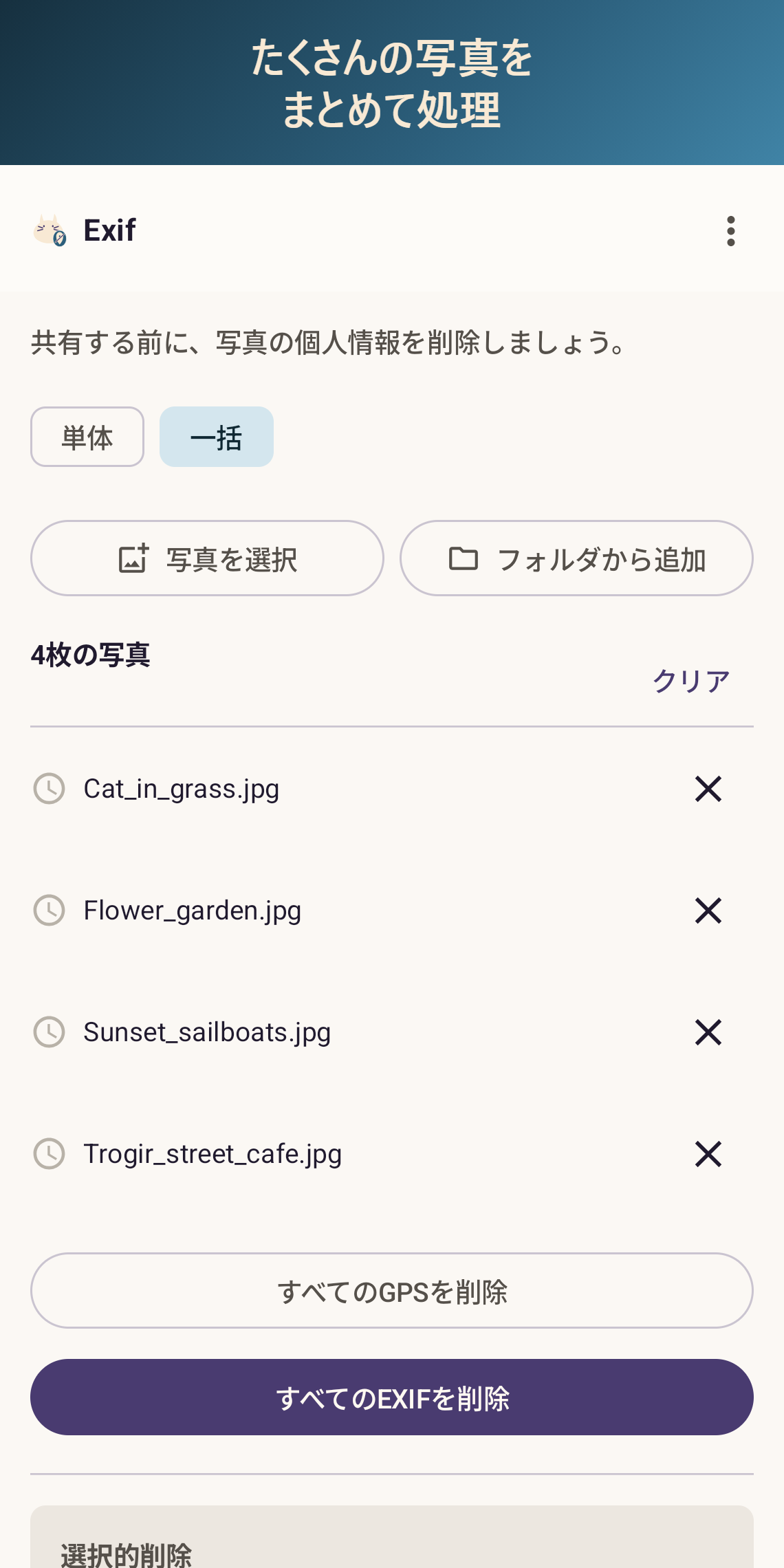 たくさんの写真をまとめて処理(Pro)