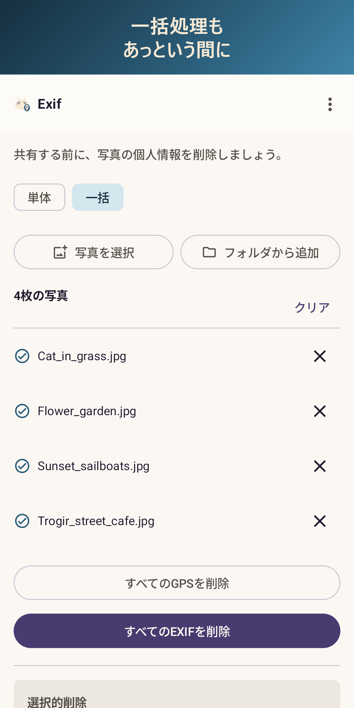 一括処理もあっという間(Pro)